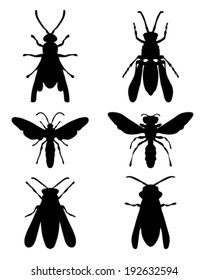 Black silhouettes of on a white background wasps