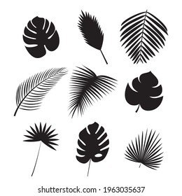 Black silhouettes of palm leaf Icon set Vector illustration of different exotic lush foliage isolated on white background