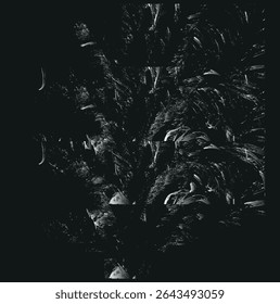 Black silhouettes of palm trees, tropical leaves of trees. Collection of tropical exotic leaves of palm, monstera, coconut, banana tree.
