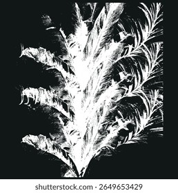 Black silhouettes of palm trees, tropical leaves of trees. Collection of tropical exotic leaves of palm, monstera, coconut, banana tree.
