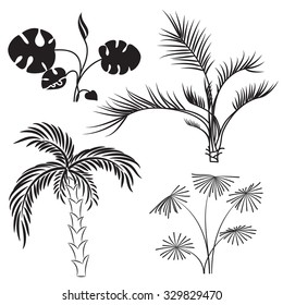 Black silhouettes of palm trees. Vector illustration