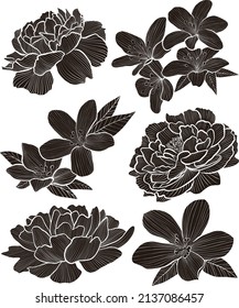 Black silhouettes of peony and Tung flowers, vector collection of two types of flowers, silhouettes in white line art, traditional flowers in Chinese style, Asian pattern style for posters and cards