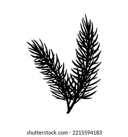 Black silhouettes pine branches on white background. Isolated vector elements for banner, poster or package decoration.