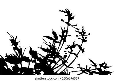 Black silhouettes of plants on a white background. Bouquet. For decoration and design. For postcards, business cards, menus, etc.