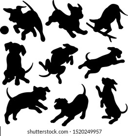 Black silhouettes puppies in different 
poses, funny puppies that play, jump and lie