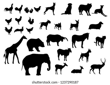Black silhouettes set of animals various types on white background