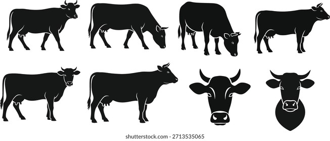Conjunto de silhuetas pretas mostrando várias poses de vaca. A coleção apresenta diferentes animais de gado em pé, pastoreio e vistas frontais da cabeça. ideal para ilustrações de mamíferos de fazenda e projetos agrícolas.