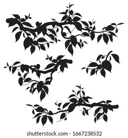 Black silhouettes of small and big tree branches with leaves isolated on white. Set of monochrome deciduous plant parts, foliage template. Vector flat illustration. 