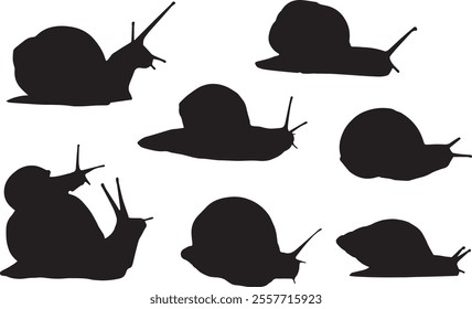 Black silhouettes of snail in different poses isolated on white background. Going, standing. Wild and domestic animals. Vector realistic illustrations