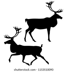 Black silhouettes of standing and running caribou isolated on white background. Vector illustration EPS 8