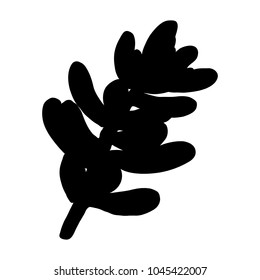 Black silhouettes of Succulent cactus flower, hand drawn terrarium cacti. Wild floral exotic tropical plant. Vector.