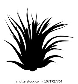 Black silhouettes of Succulent cactus flower, hand drawn terrarium cacti. Wild floral exotic tropical plant. Vector.