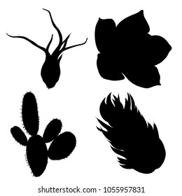 Black silhouettes of succulents and cactuses set. Trendy tropical design for textile. Set of various hand drawn cacti exotic plants. Vector.