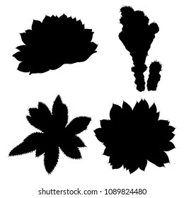Black silhouettes of succulents and cactuses set. Trendy tropical design for textile. Set of various hand drawn cacti exotic plants. Vector.