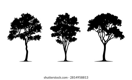 Black silhouettes of three different trees standing side by side against a white background, showcasing natural shapes and variations in tree forms.