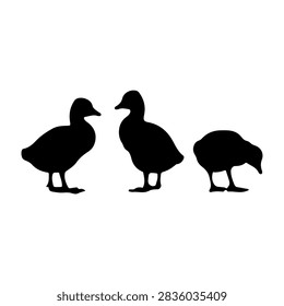 Black silhouettes of three ducks, two standing and one resting, set against a plain white background, emphasizing shape and form.