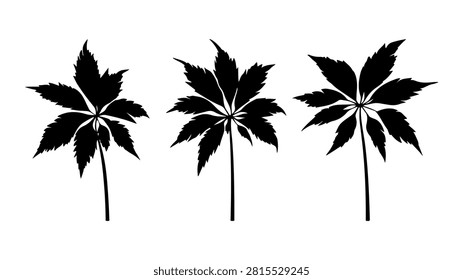 Black silhouettes of three palm trees with detailed leaves and trunks, set against a plain background, emphasizing natural tropical scenery.