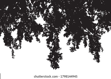 Black silhouettes of tree crowns on white background