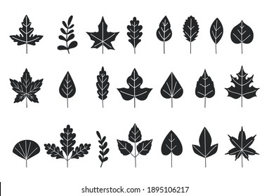 Black silhouettes of tree leaves. Autumn leaves isolated on white background. Vector illustration. leaf icon set. Set of tree branches, eucalyptus, palm leaves, herbs and flowers silhouettes