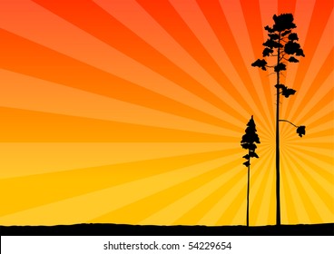 black silhouettes of tree on the background