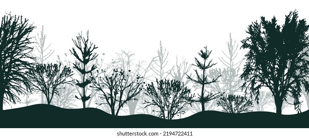 Black silhouettes of trees in forest background. Mystical thicket of spruce and beeches with bushes in light fog. Mysterious landscape in natural vector design