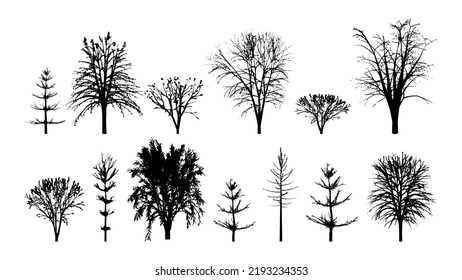 Black silhouettes of trees set. Majestic alder with young firs and realistic maple. Mysterious willow with old beech and vector hazel