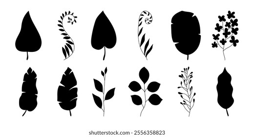 Black Silhouettes of Tropical Leaves and Branches in Hand Drawn Style. Herbs isolated on white background. Botanical plants with leaves. Simple black ink greenery