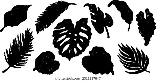 Black silhouettes of tropical leaves. Grunge, rough grainy texture. Minimalism. Vector set. Exotic collection. Elements for your design