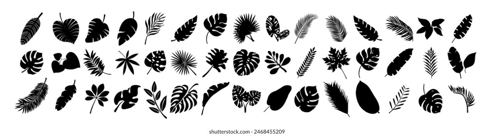 Black silhouettes of tropical palm leaves isolated on transparent background. Exotic plants leaves set