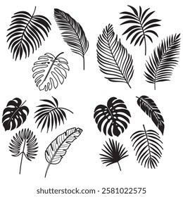 Black silhouettes of tropical palm leaves vector illustration. Exotic plants leaves set vector illustration