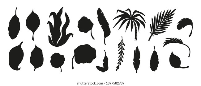 Black Silhouettes of Tropical Palm Tree Leaves Vector Set. Palm Leaf. Summer Tropical Plants. Floral design