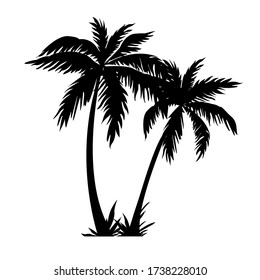 Black silhouettes of tropical palm trees isolated on white background