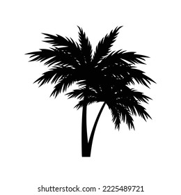 Black silhouettes of Tropical palm trees vector on white background