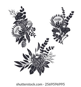 Black silhouettes of tropical protea flowers and leaves bouquets set. Boho floral monochrome compositions bundle isolated on white background