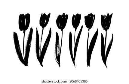 Black silhouettes of tulips. Hand drawn dry brush style flowers. Black vector brushstrokes. Floral clip art elements. Branches, leaves and buds. Collection of hand drawn graphic tulips. 