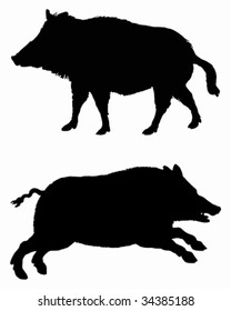 The black silhouettes of two boars on white