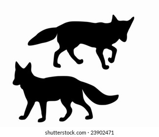 The black silhouettes of two foxes on white