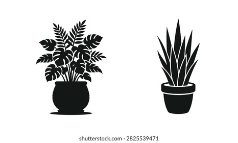 Black silhouettes of two potted plants with distinct leaf structures are shown against a white background. The style is a