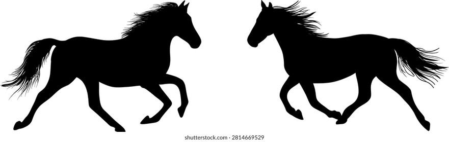 Black silhouettes of two running horses, wild mustang stallions trotting vector illustration for design