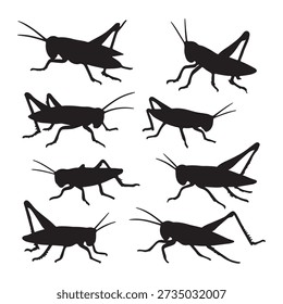 Black silhouettes of various grasshoppers and crickets on a plain white background