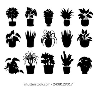 Black silhouettes of various indoor plants in pots.