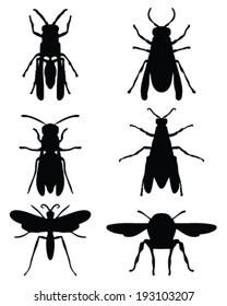 Black silhouettes of wasps, vector 