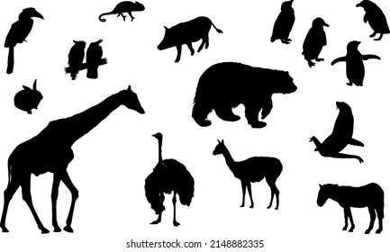 Black silhouettes of wild animals and birds. Bear, penguins, giraffe, ostrich and other animals isolated on background. Vector illustration.