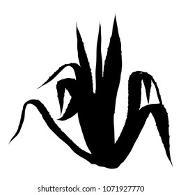 Black silhouettes of wild cactus. Hand drawn prickly cacti. Terrarium Succulent flower. Wild floral exotic tropical plant. Vector.