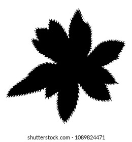 Black silhouettes of wild cactus. Hand drawn prickly cacti. Terrarium Succulent flower. Wild floral exotic tropical plant. Vector.