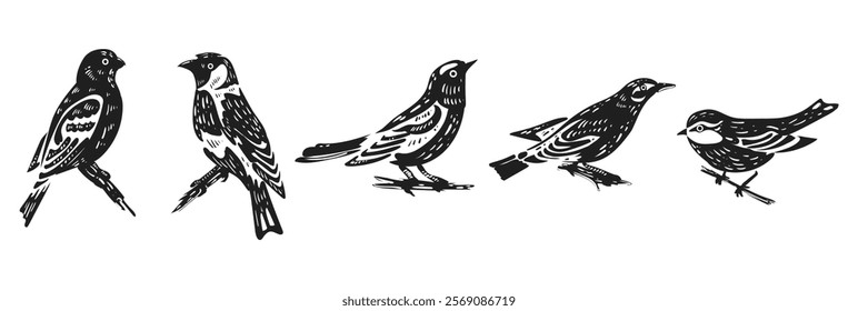 Black silhouettes of wild forest birds. Winter wild animal, tit, grosbeak, goldfinch, oriole. Isolated wild or garden chick of plain nature. Vector illustration. Collection of forest birds.