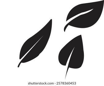 Black silhoutee leaf image design