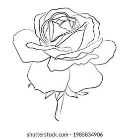 Schwarze Silhoutte einer rosen Vektorgrafik