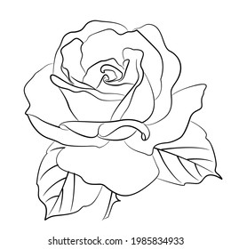 Black Silhoutte of Rose Vector Illustration