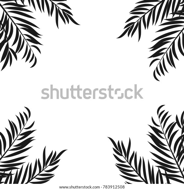 Black Silouhette Palm Tree Leaves Isolated Stock Vector (Royalty Free ...